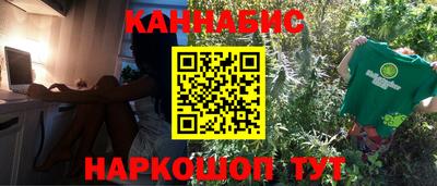 индика Нальчик