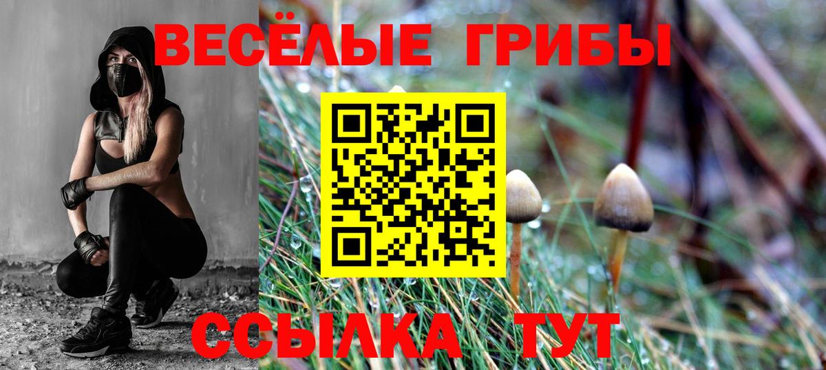 Элиста  Галлюциногенные грибы Psilocybine cubensis  Вход с VPN 